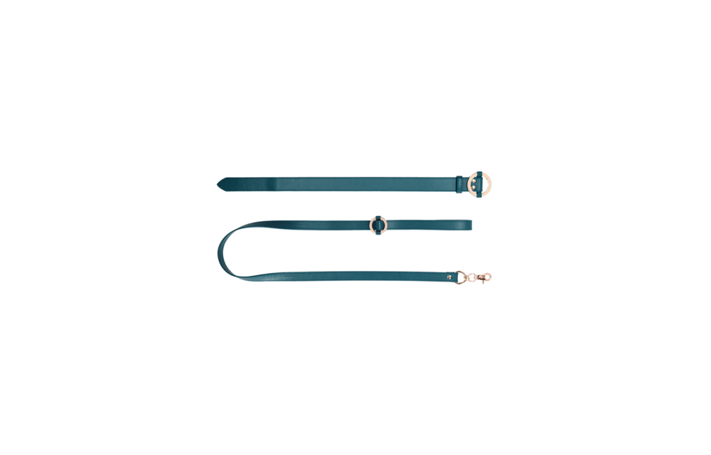 Luxury Collar with Leash – Stylish Leather Look & Gold Details