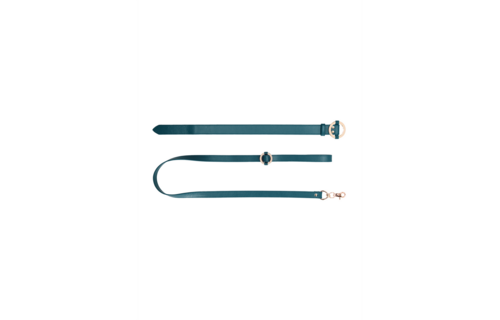 Luxurious Collar with Leash