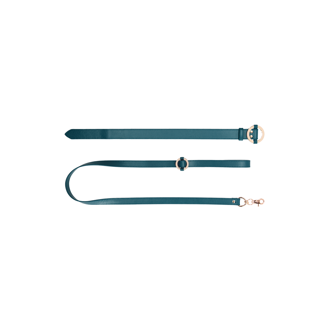 Luxury Collar with Leash – Stylish Leather Look & Gold Details