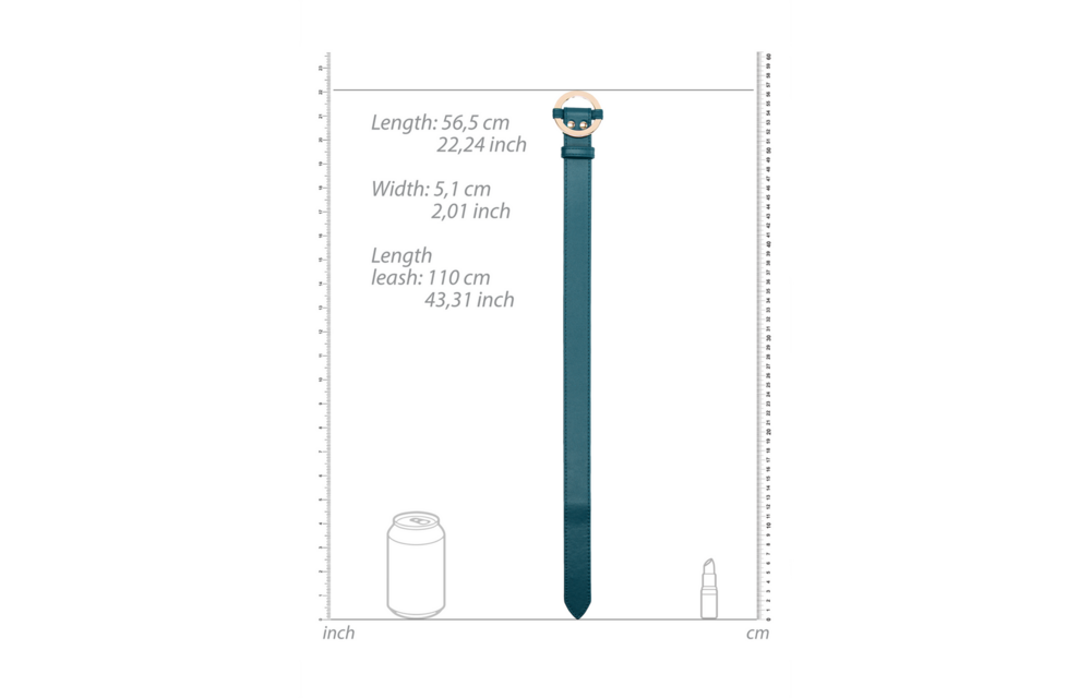 Luxuriöses Halsband mit Leine