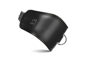 Hard Stance Padded Lockable Posture Collar Black