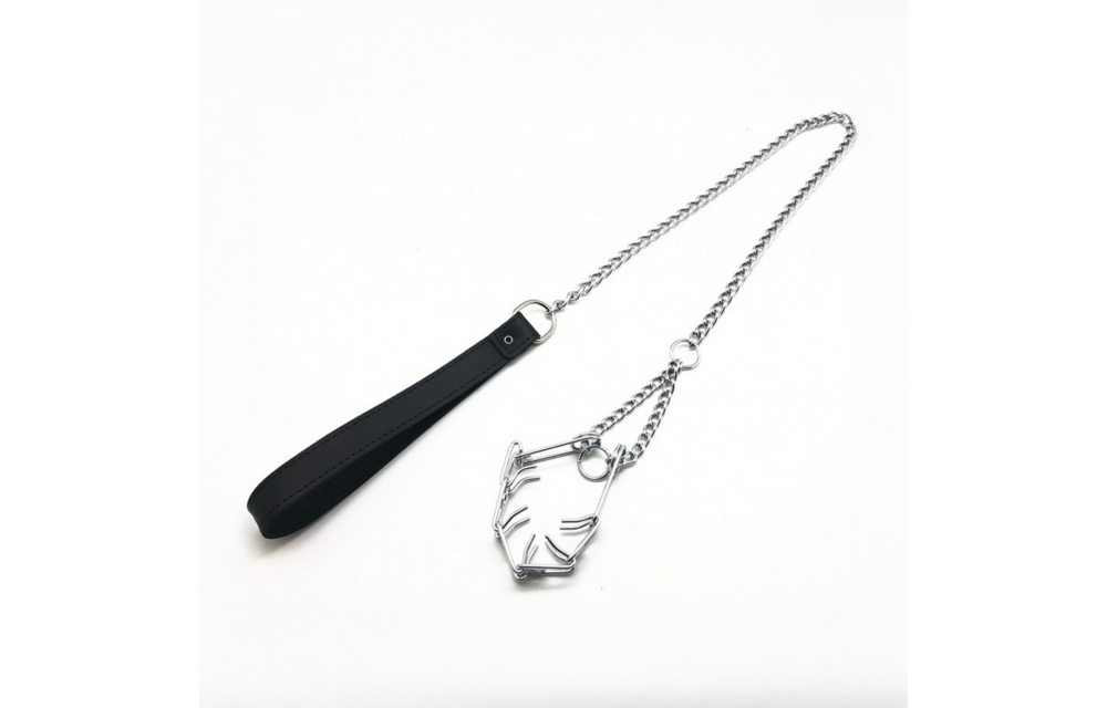 Leash with Choker for Penis - Black/Silver