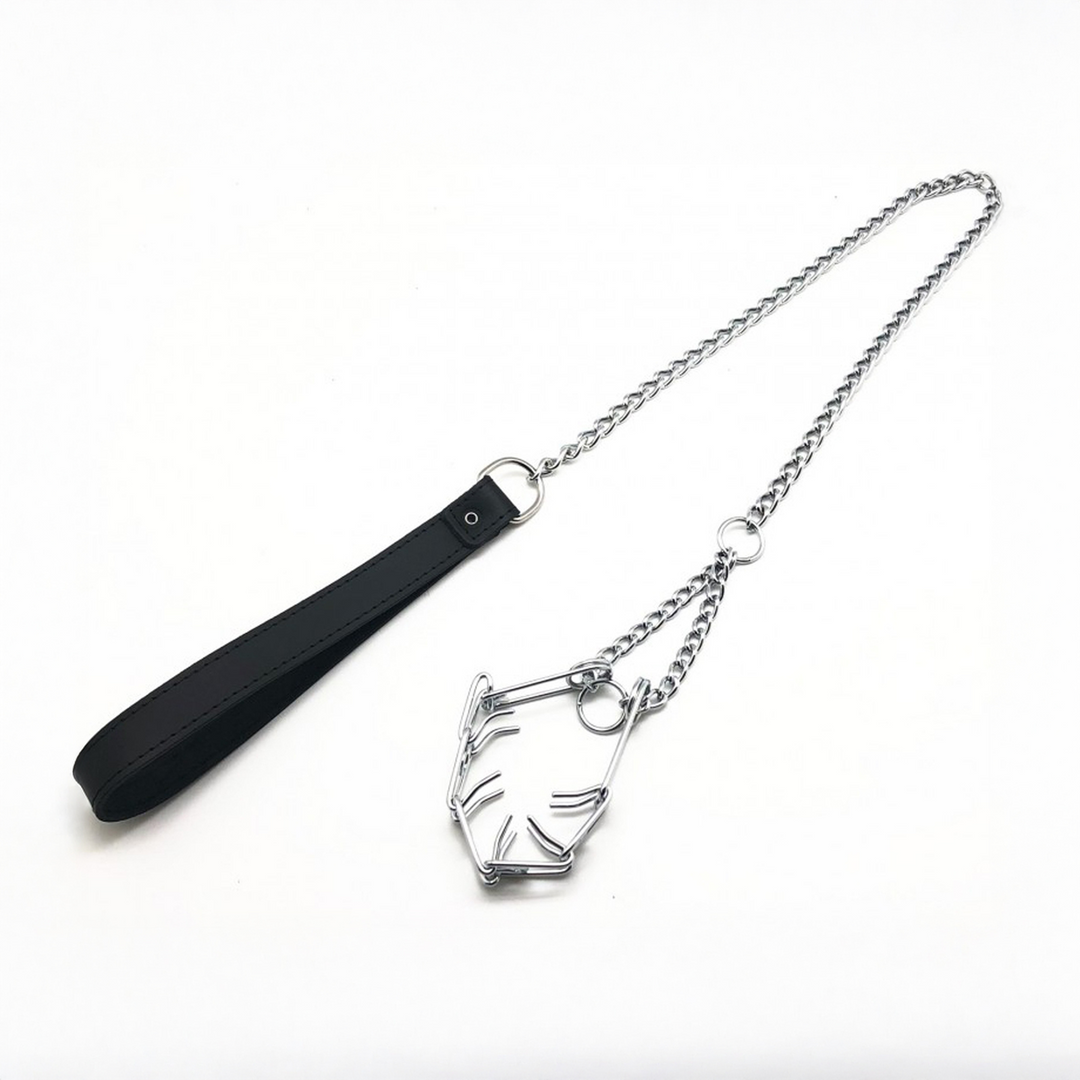 Leiband met Choker voor Penis - Zwart/Zilver