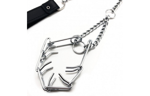 Leiband met Choker voor Penis - Zwart/Zilver