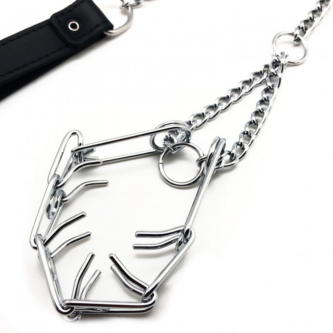 Leiband met Choker voor Penis - Zwart/Zilver
