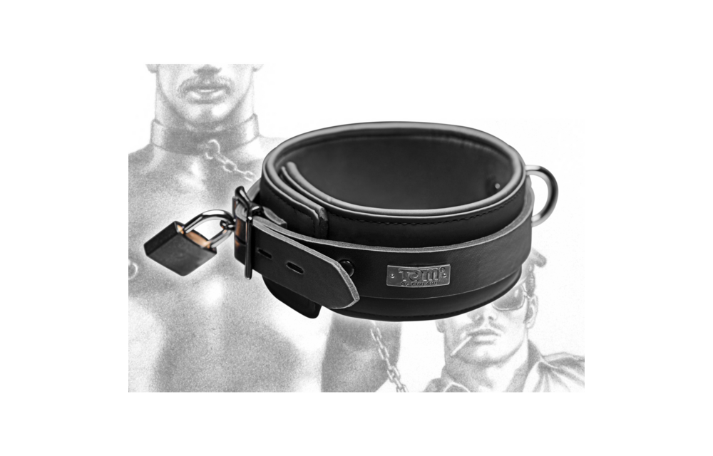 Neoprene Collar with Lock