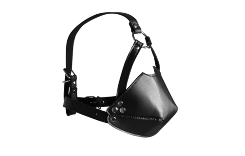 Head Harness with Mouth Cover and Solid Ball Gag - Black