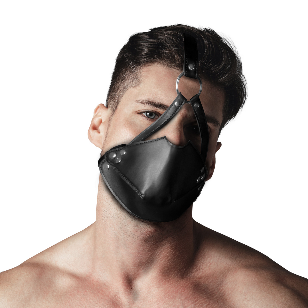 Head Harness With Mouth Mask & Ball Gag Black – Ouch! By Shots