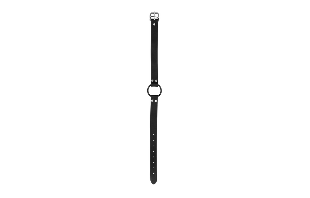 O-Ring-Knebel mit Nippelklemmen Schwarz – Ultimative BDSM-Kontrolle