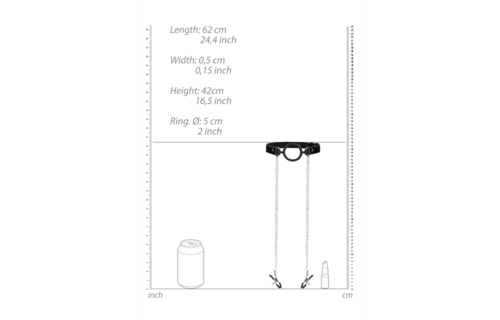 O-Ring Ball Gag With Nipple Clamps | Comfort & Excitement