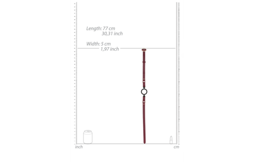 Siliconen Open Ring Gag