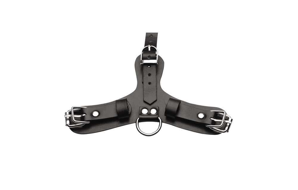 Pup Speelmasker + Ademend Ballgag | Kinky Puppy Play Gear