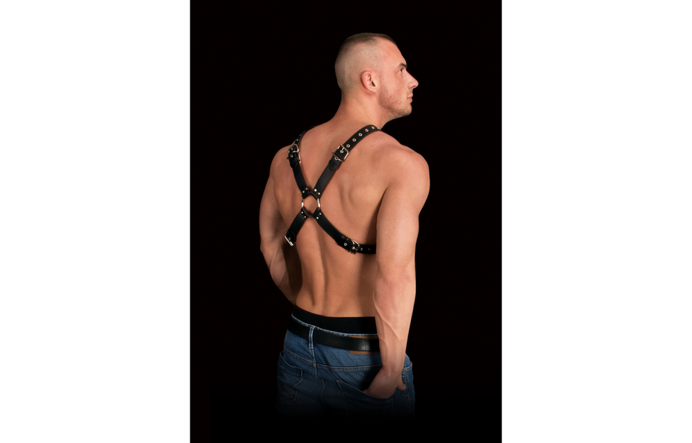 Adonis High Halter Harness – Robuster und bequemer Lederharnisch