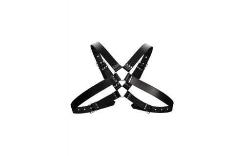 Leather Harness With Large Buckle – Tough & Adjustable | Ouch!
