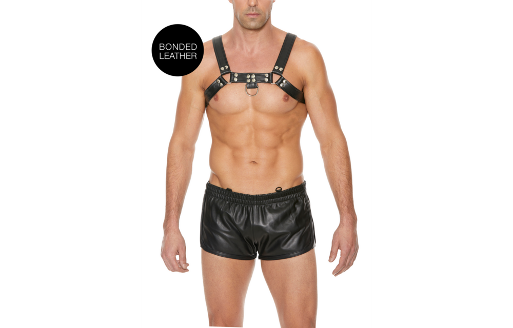 Bulldog Leder Brustgeschirr - L/XL