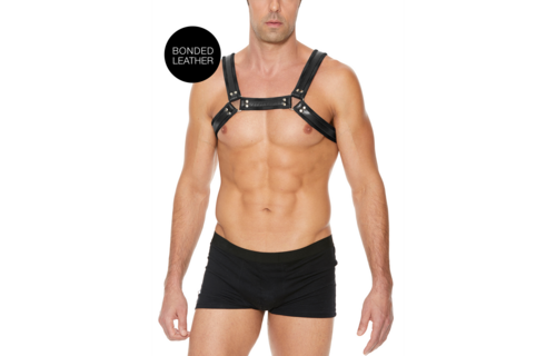 Leather Bulldog Harness with Buckles - L/XL