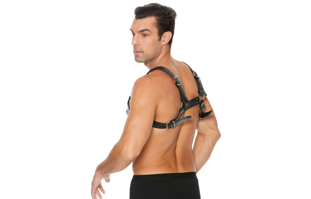 Leder-Bulldog-Harness mit Schnallen L/XL – Cool & verstellbar