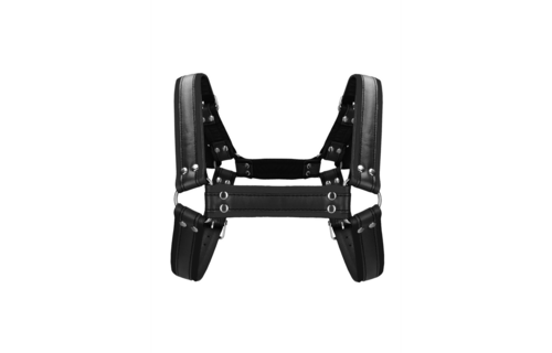 Leder Bulldoggeschirr mit Schnallen - S/M