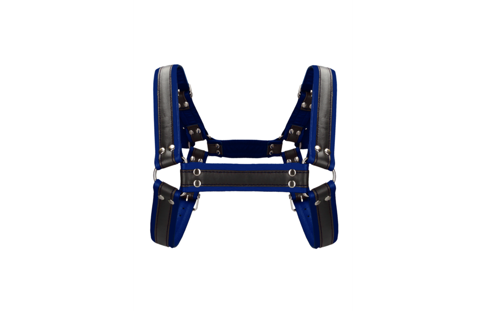 Leder Bulldog Geschirr mit Schnallen - L/XL