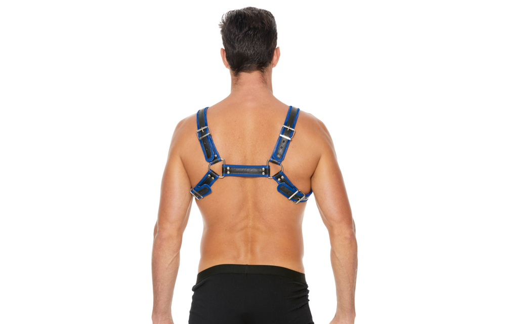 Leder-Bulldog-Harness S/M mit Schnallen – Cool & bequem