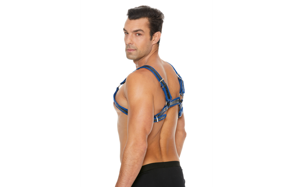 Leder Bulldog Geschirr mit Schnallen - S/M