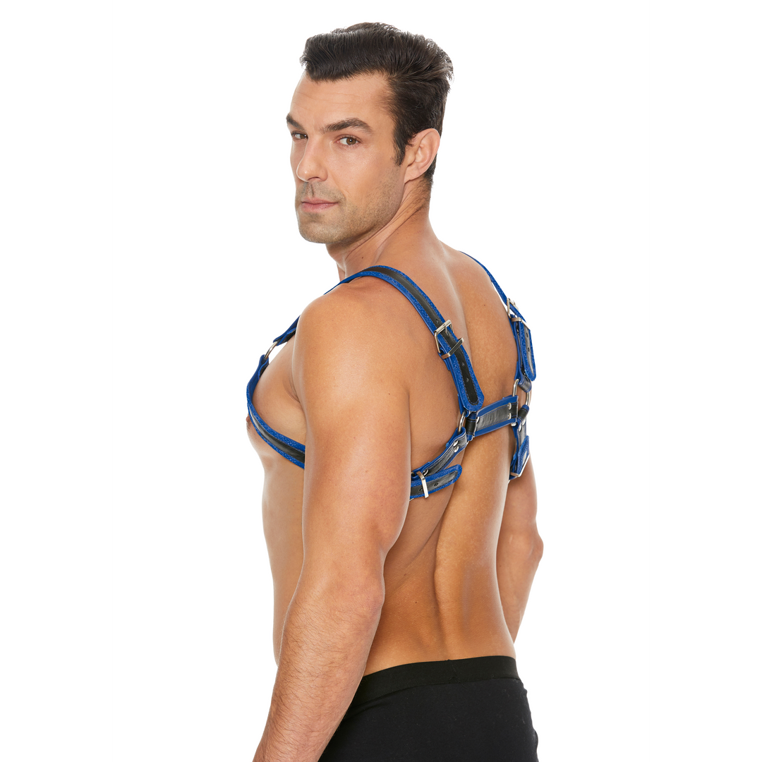 Leder-Bulldog-Harness S/M mit Schnallen – Cool & bequem