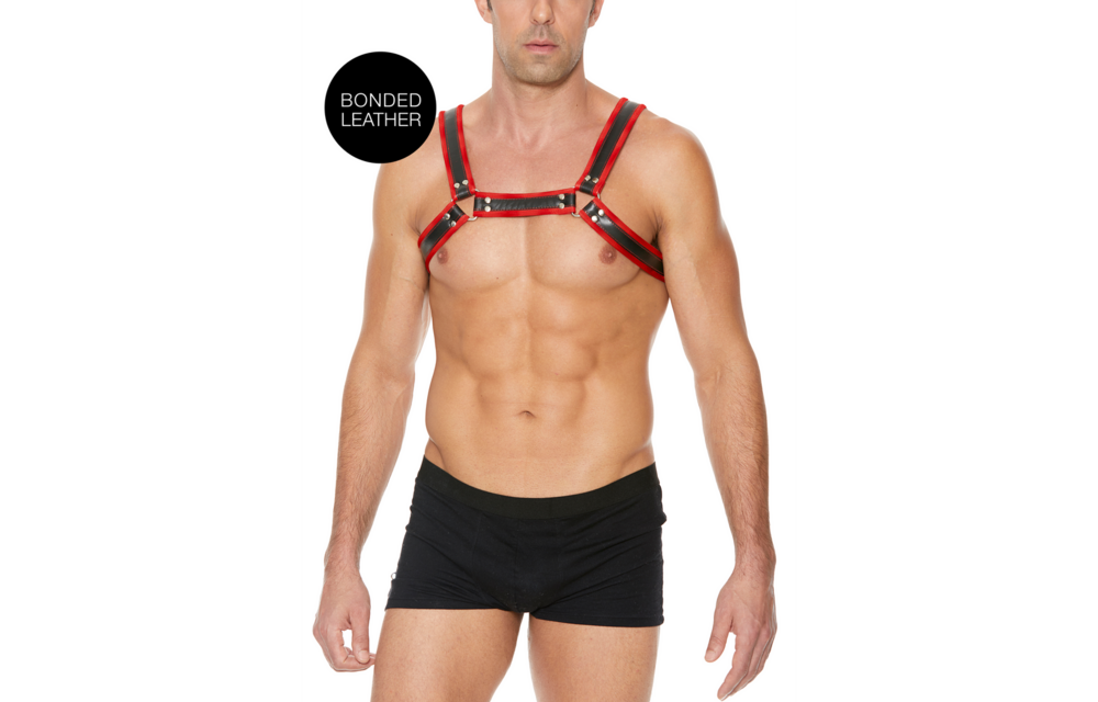 Leren Bulldog Harnas met Gespen - S/M