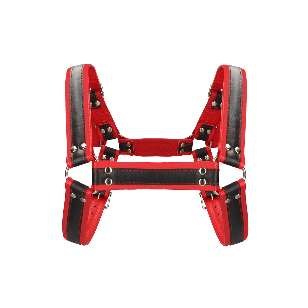 Leder-Bulldog-Harness S/M | Robuster & verstellbarer Fetisch-Harness