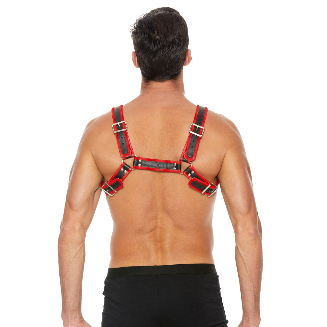 Leather Bulldog Harness with Buckles - S/M