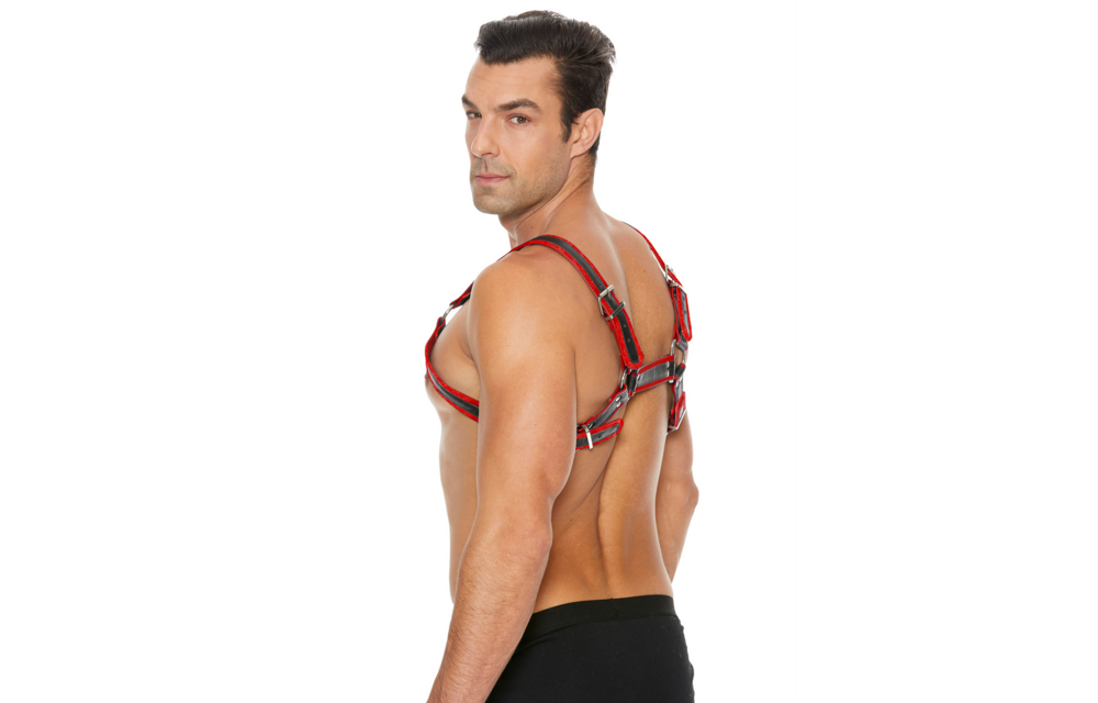 Leder Bulldog Geschirr mit Schnallen - S/M