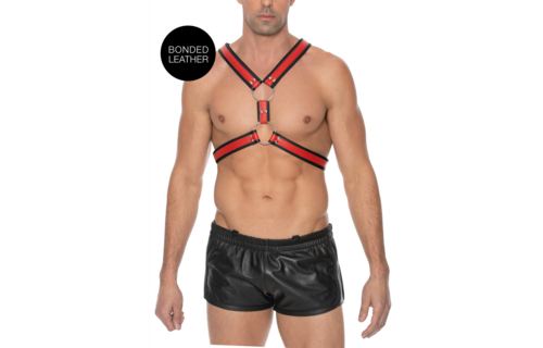 Schottisches Ledergeschirr L/XL Rot | Robust & verstellbar BDSM
