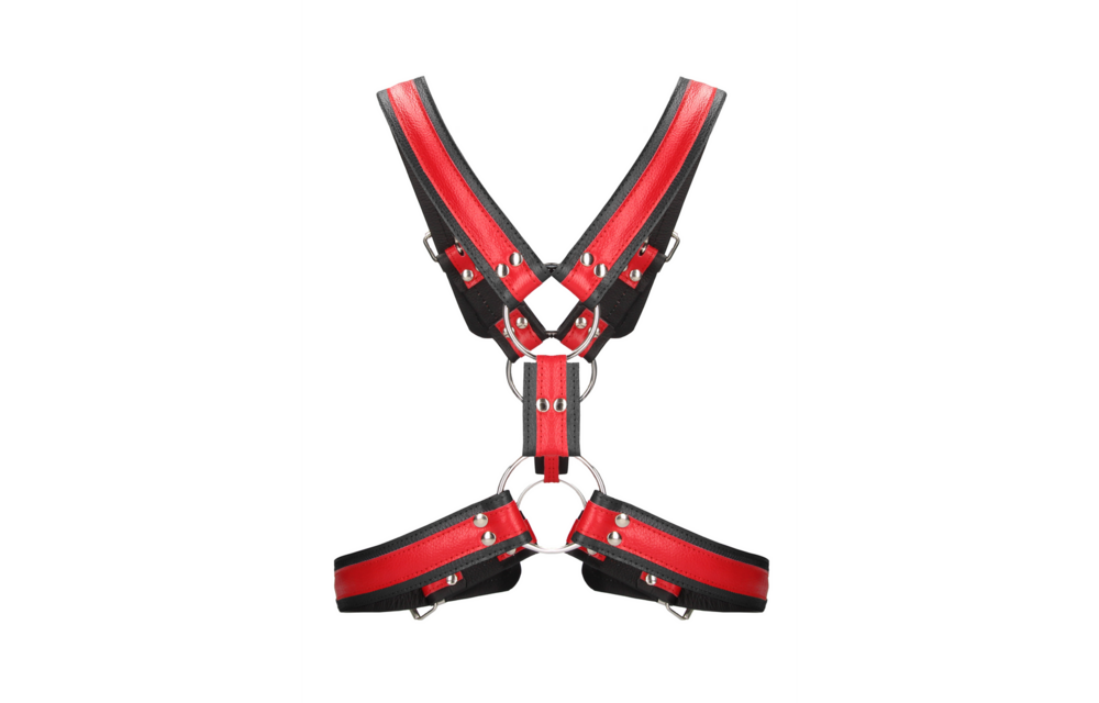 Schottisches Ledergeschirr L/XL Rot | Robust & verstellbar BDSM