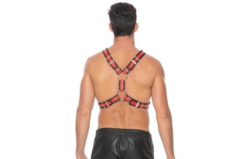 Schottisches Ledergeschirr L/XL Rot | Robust & verstellbar BDSM