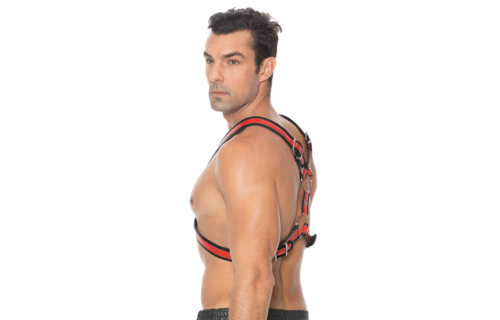 Schottisches Leder Geschirr - L/XL