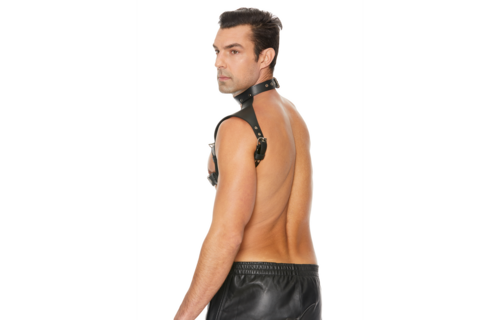 Men's Harness With Collar – Tough, Adjustable & Leather Design