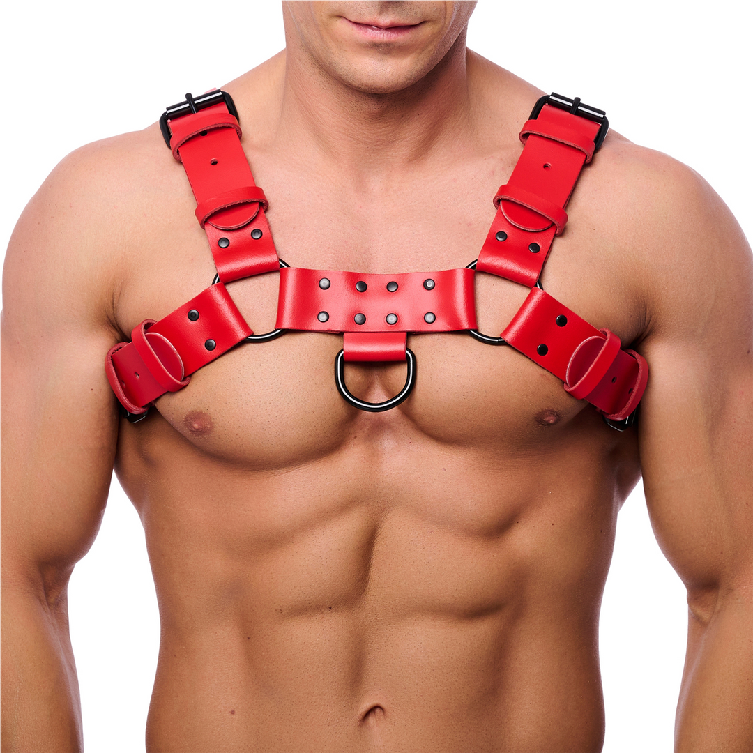Bulldog Leather Harness - S/M - Red