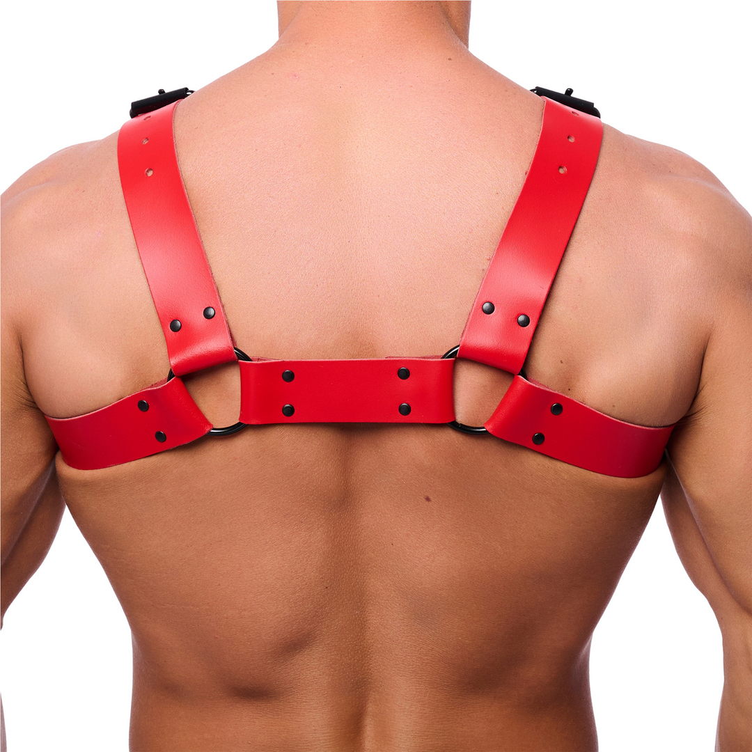 Bulldog Leather Harness Red S/M - Stylish & Durable