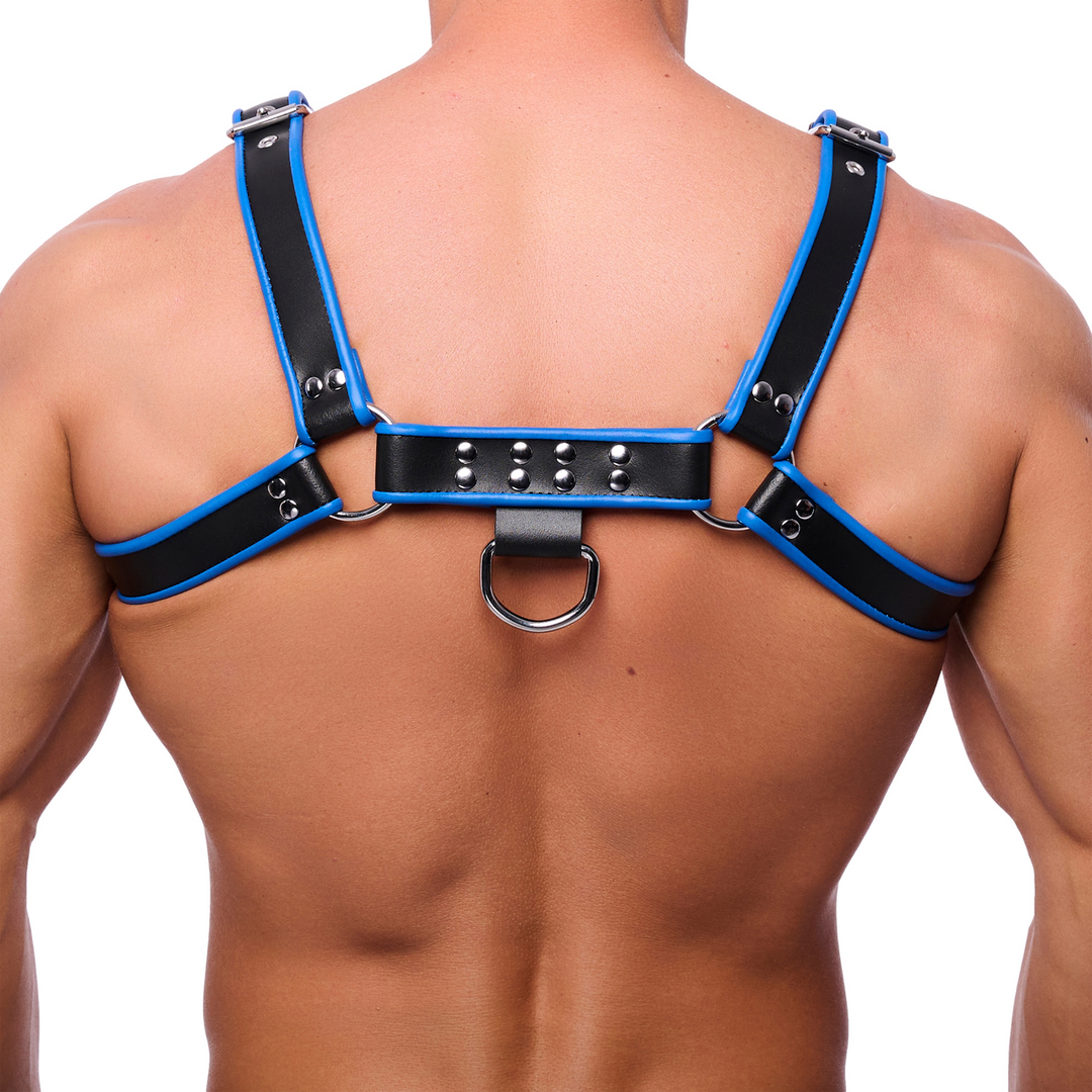 Premium Leather Harness - L/XL - Black/Blue
