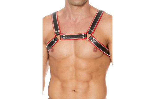 Z-Serie L/XL Brustgeschirr für Bulldoggen – Robust & verstellbar