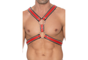 Z-Series Scottish Harness L/XL – Tough, Adjustable & Stylish