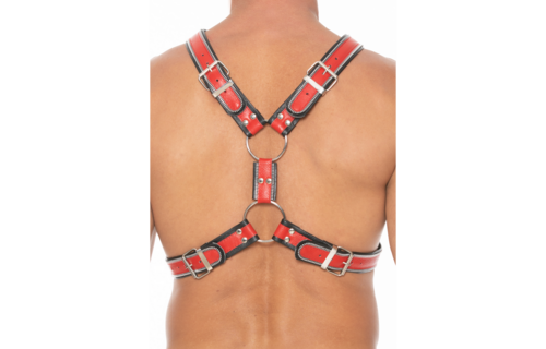 Z-Serie Schottisches Geschirr L/XL – Robust, verstellbar & stilvoll