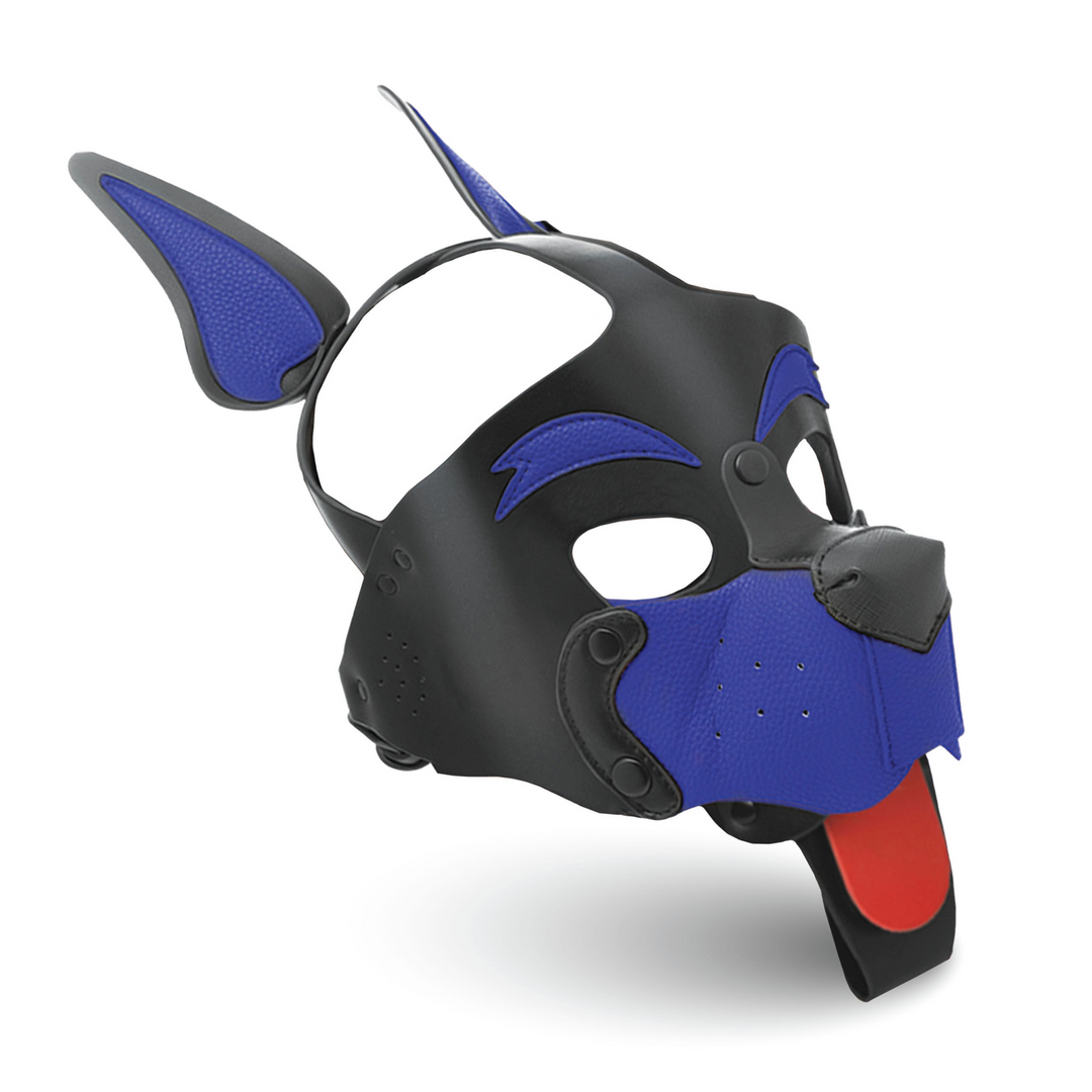 Alpha Dog Puppy Headgear Blue – Style & Sharp Vision
