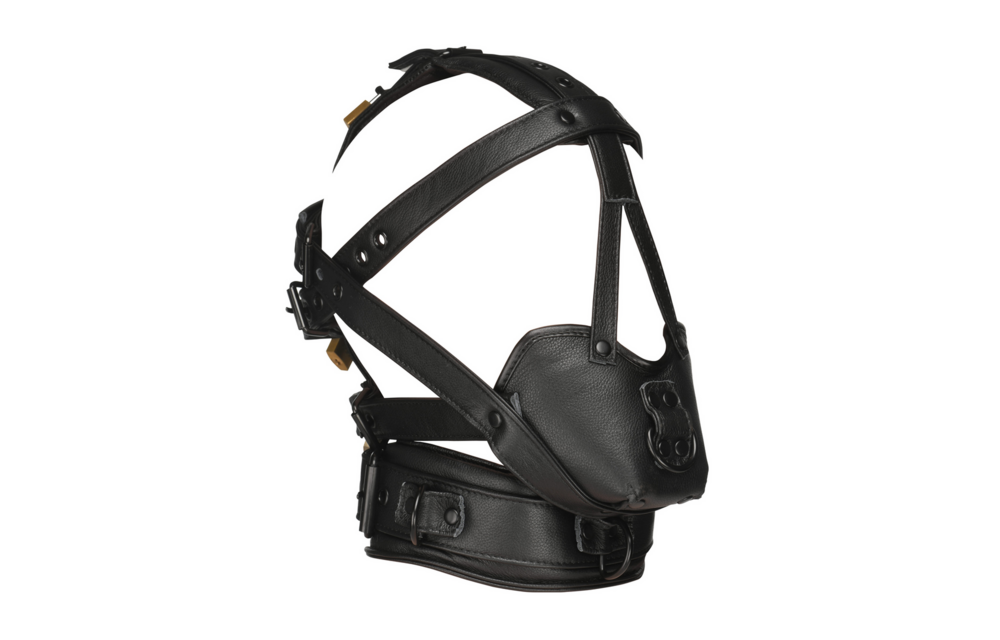 Adjustable Black Head Harness With Muzzle | Comfort & Style