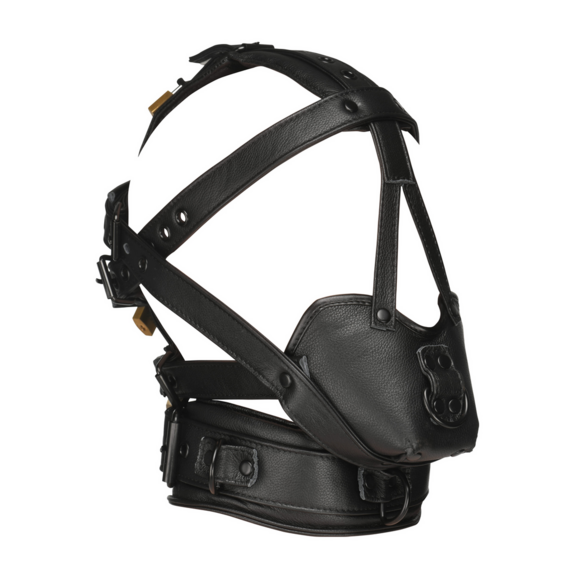 Adjustable Black Head Harness With Muzzle | Comfort & Style