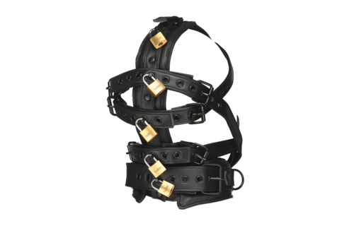 Adjustable Black Head Harness With Muzzle | Comfort & Style