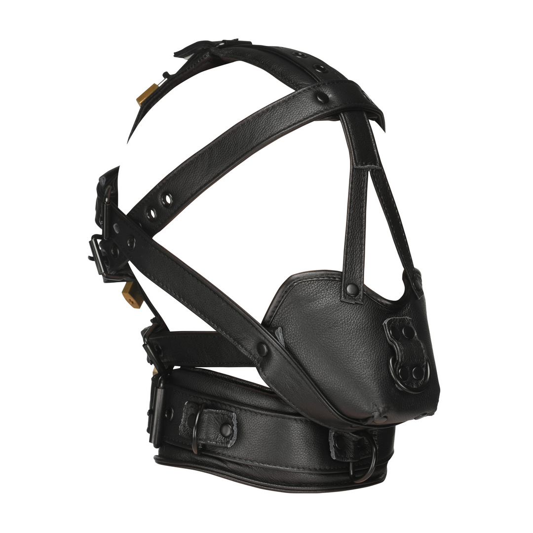 Adjustable Black Head Harness With Muzzle | Comfort & Style