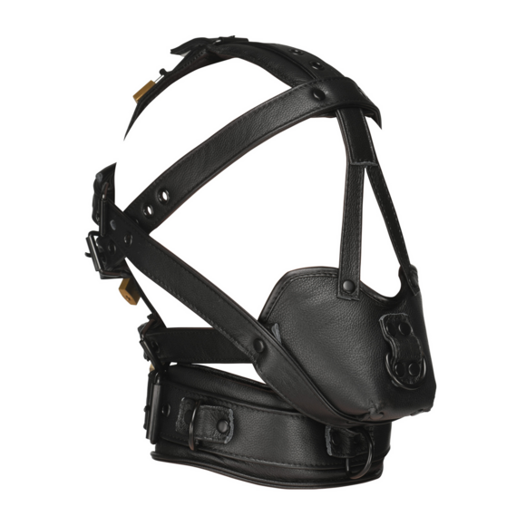 Leather Head Harness with Muzzle Black – Stylish & Comfortable