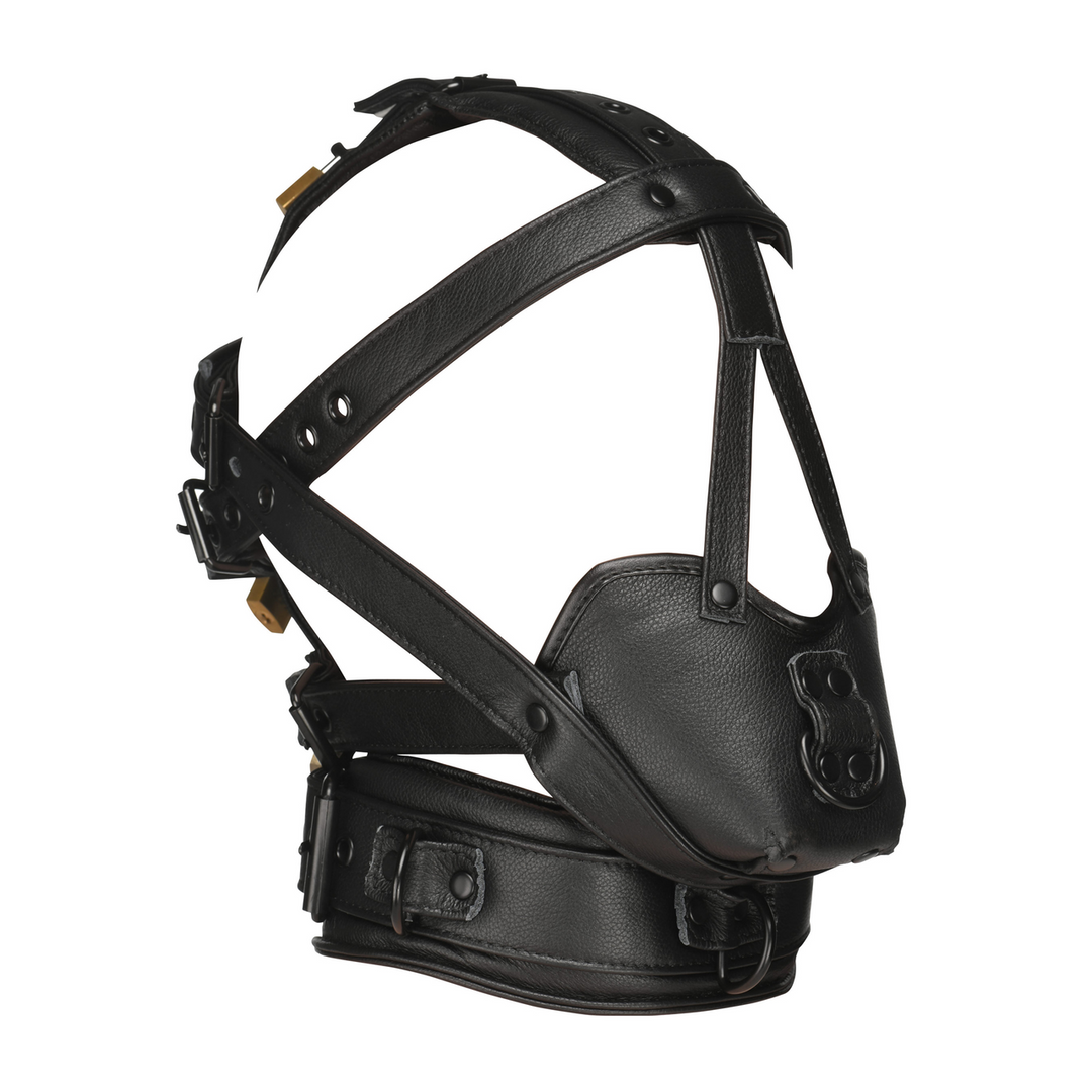Leather Head Harness with Muzzle Black – Stylish & Comfortable