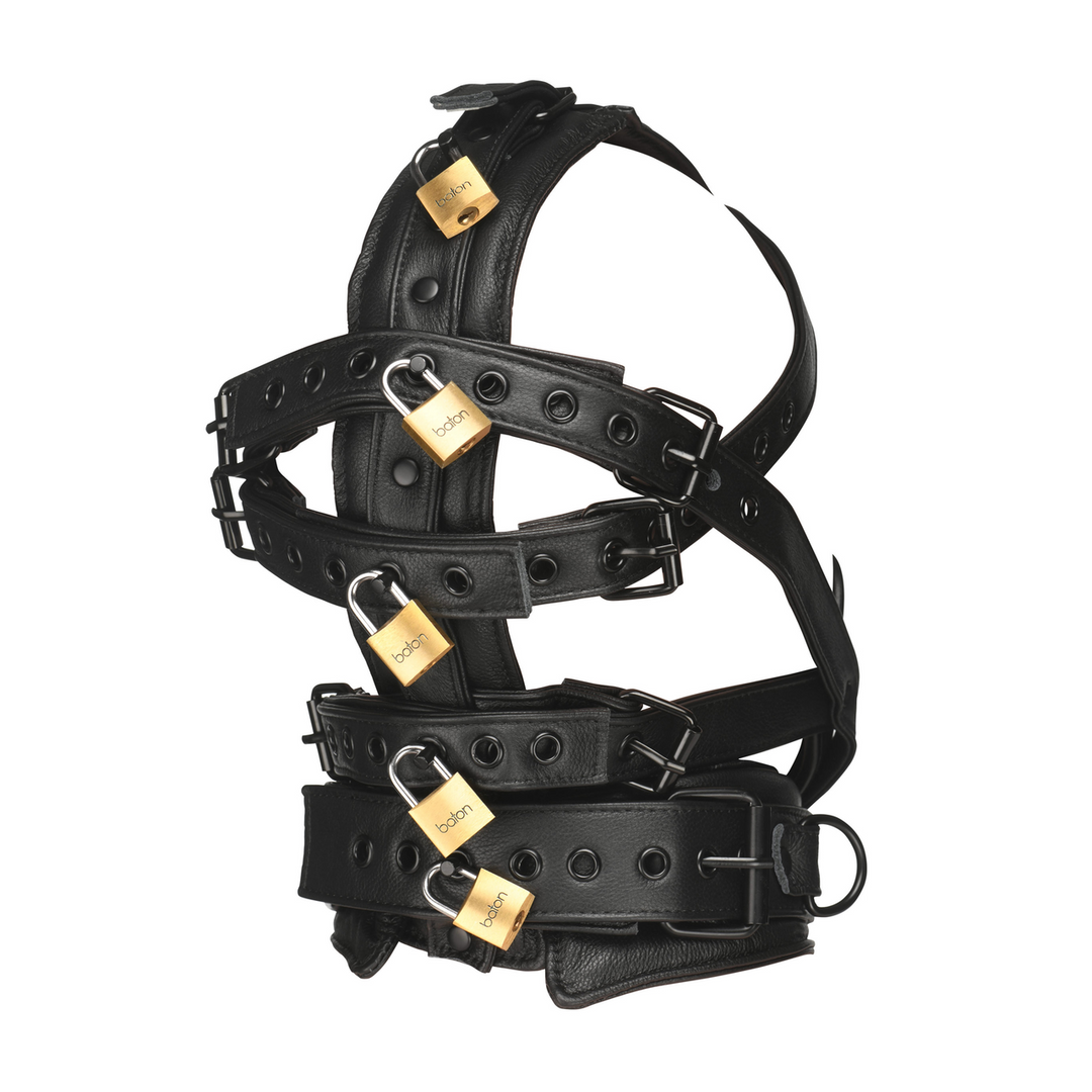 Leather Head Harness with Muzzle Black – Stylish & Comfortable