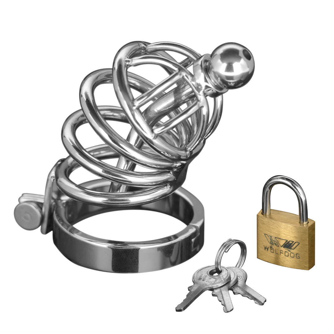 Asylum - Chastity Cage with 4 Rings - S/M